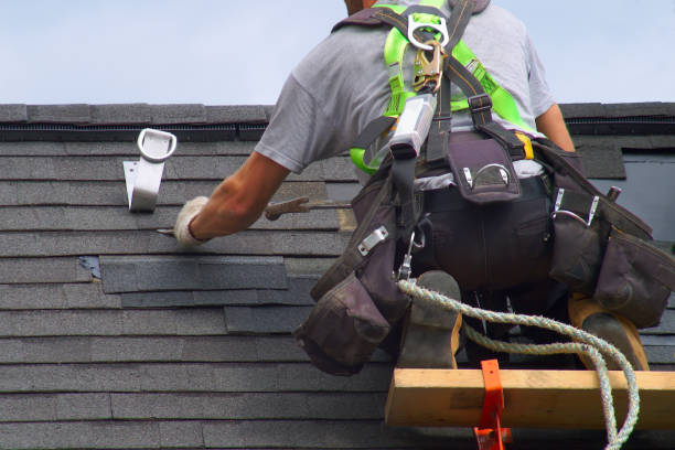 Best Flat Roof Repair Services  in Medina, NY