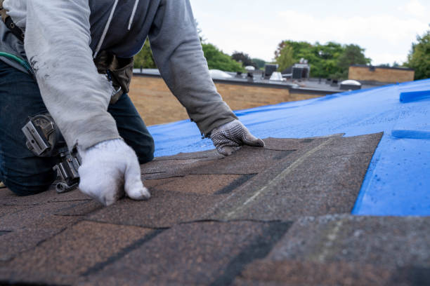 Best Shingle Roofing Installation  in Medina, NY