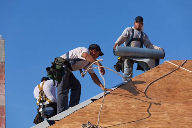 Best Roof Gutter Cleaning  in Medina, NY